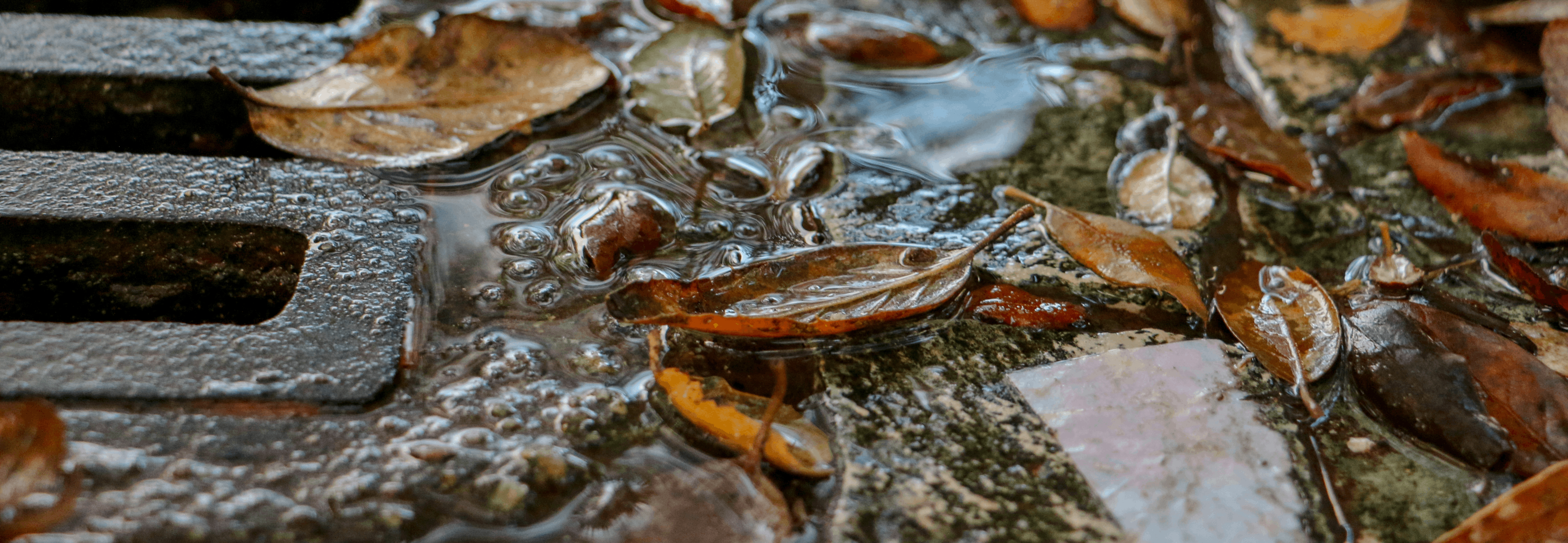 Copy of Stormwater Brochure 1