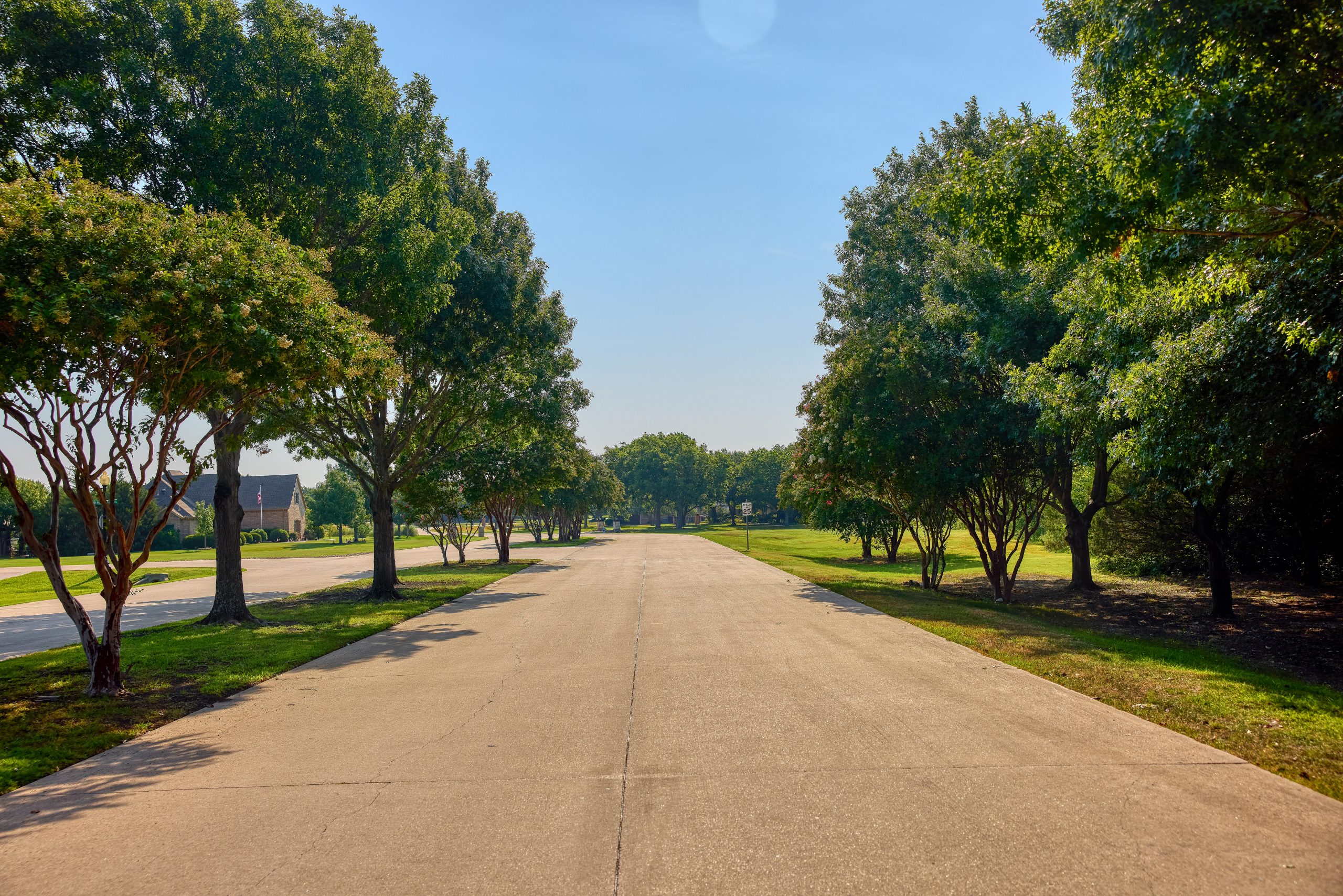 An image of a tree-lined street with a speed limit sign